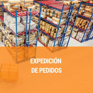 Expedición de Pedidos: Eficiencia en Cargas y Entregas